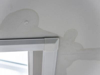 About Tree City Restoration - water damage restoration experts in Winnipeg